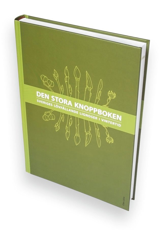 Claes Lööw - Den stora knoppboken : Sveriges lövfällande lignoser i vintertid, Inbunden
