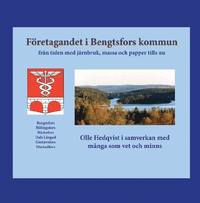 bokomslag Företagandet i Bengtsfors kommun : från tiden med järnbruk, massa och papper fram tills nu