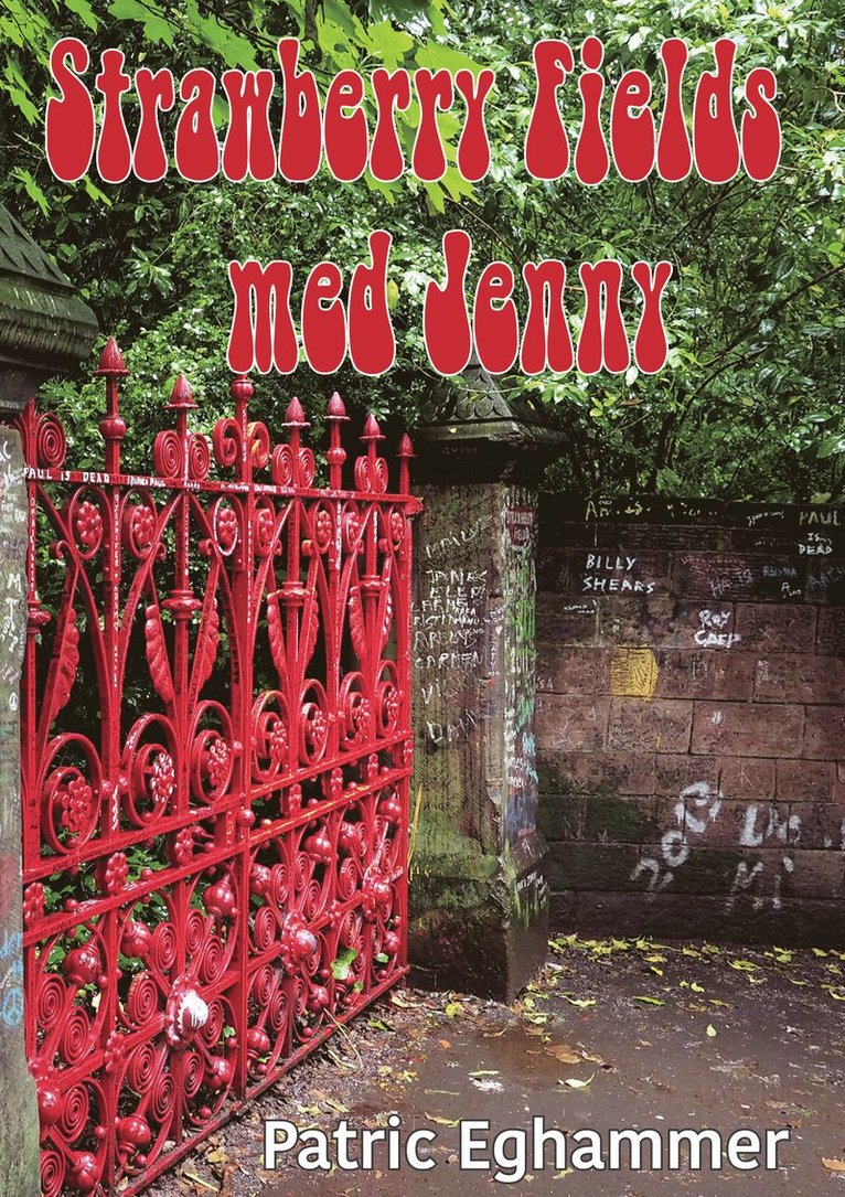 Patric Eghammer - Strawberry Fields med Jenny, Kartonnage