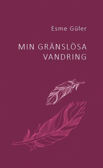 bokomslag Min gränslösa vandring