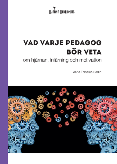 bokomslag Vad varje pedagog bör veta - om hjärnan, inlärning och motivation