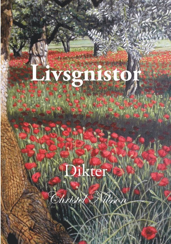 Christel Nilsson - Livsgnistor, Häftad