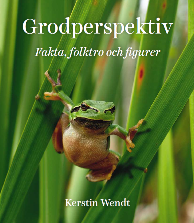 Kerstin Wendt - Grodperspektiv : fakta, folktro och figurer, Inbunden