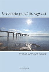 bokomslag Det måste gå ett år, sägs det