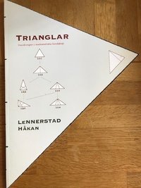 bokomslag Trianglar : vandringar i matematiska landskap