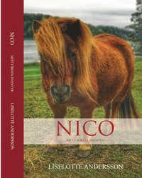 bokomslag Nico : mitt första äventyr