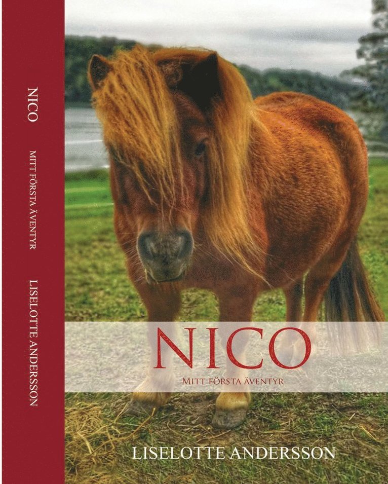Liselotte Andersson - Nico : mitt första äventyr, Inbunden