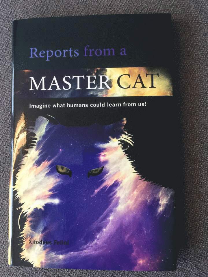 Reports from a master cat : imagine what humans could learn from us!