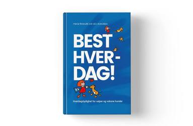 bokomslag Best Hver-Dag!