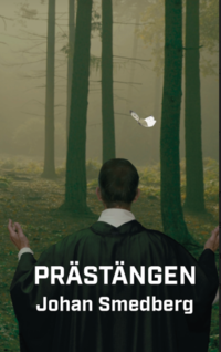 bokomslag Prästängen