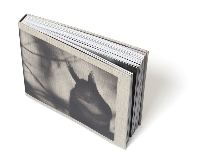 Mats Andersson, Arno Rafael Minkkinen - Nature Diary, Inbunden