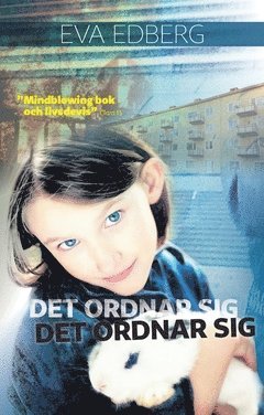 bokomslag Det ordnar sig det ordnar sig