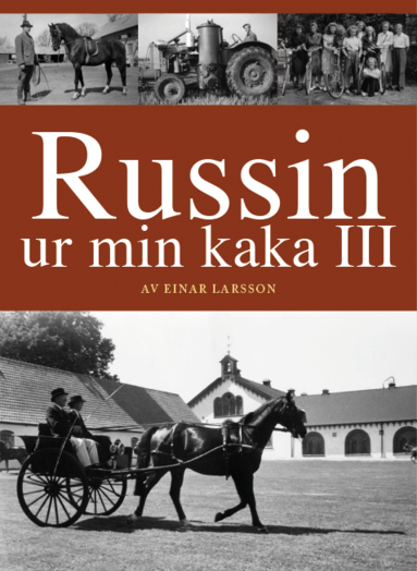 bokomslag Russin ur min kaka III