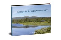 bokomslag Bilder från Ljøradalføret