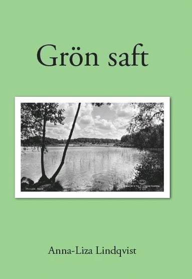 bokomslag Grön saft