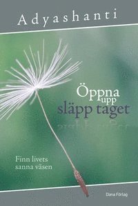 Adyashanti - Öppna upp, släpp taget : finn livets sanna väsen, Häftad