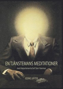 bokomslag En tjänstemans meditationer : med departementschef Sten Hammar