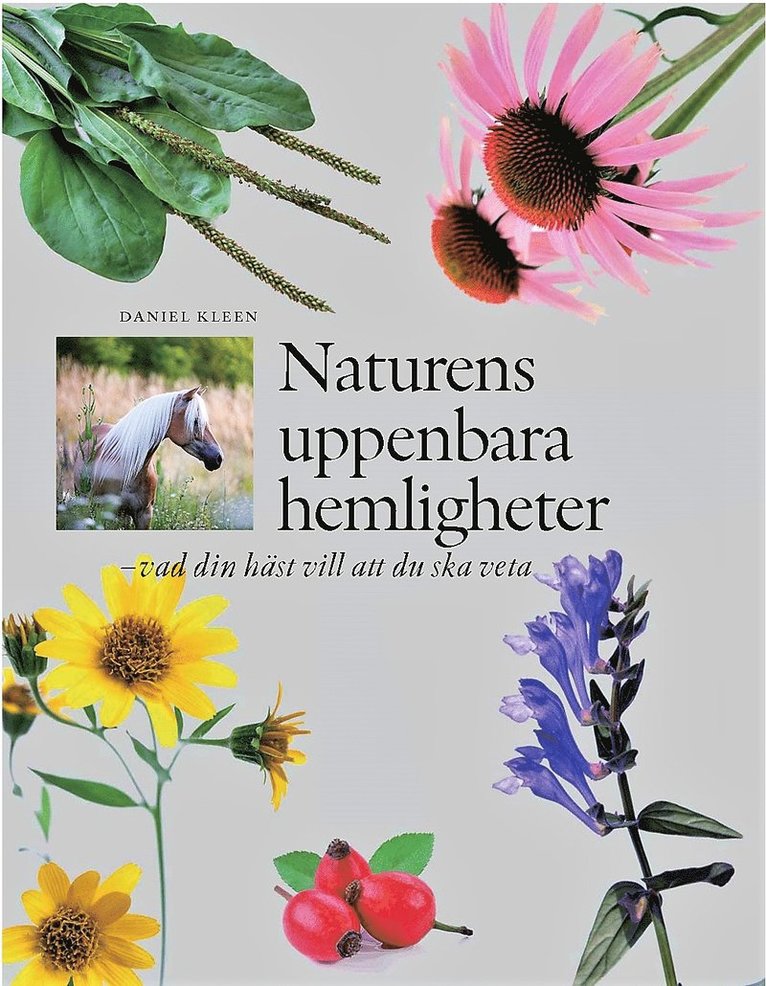 Daniel Kleen - Naturens uppenbara hemligheter : vad din häst vill att du ska veta, Inbunden