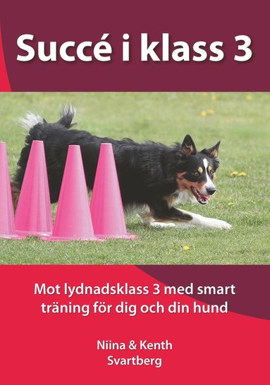 bokomslag Succé i klass 3 : mot lydnadsklass 3 med smart träning för dig och din hund