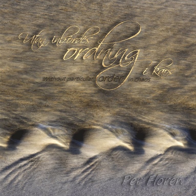 Per Florén - Utan inbördes ordning i kaos / Without particular order in chaos, Häftad