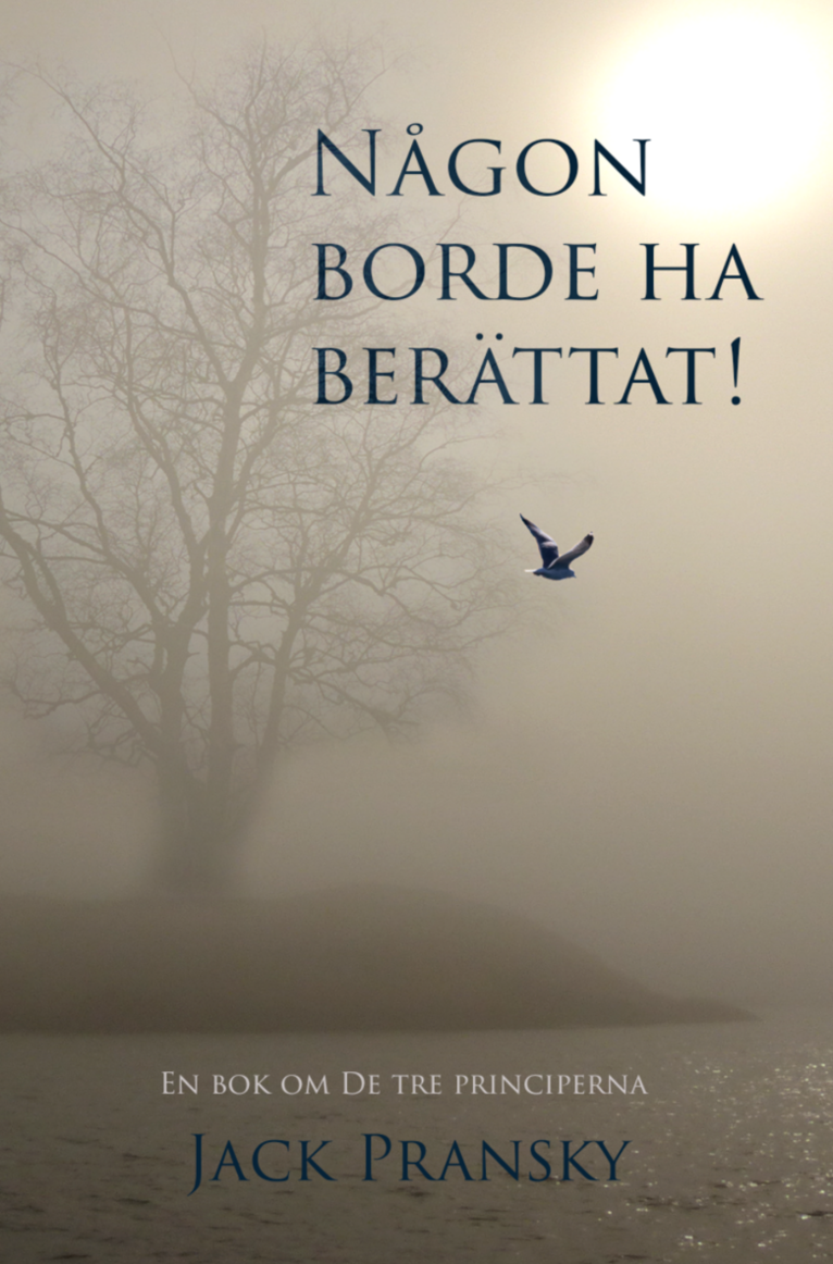 Någon borde ha berättat! : en bok om de tre principerna