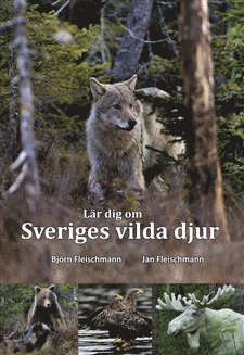 Björn Fleischmann, Jan Fleischmann - Lär dig om Sveriges vilda djur, Häftad