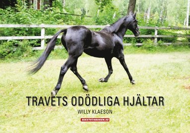 bokomslag Travets odödliga hjältar