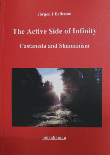bokomslag The active side of infinity : Castaneda and shamanism