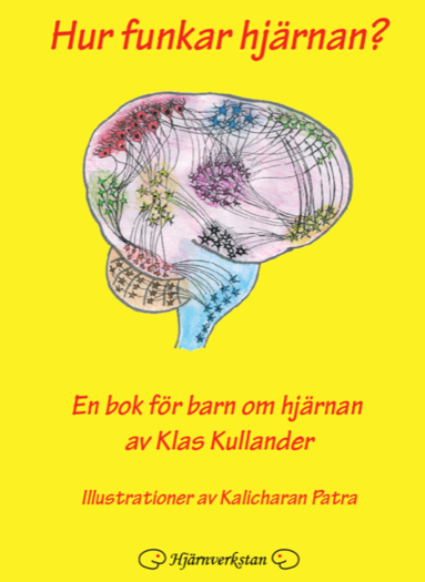 bokomslag Hur funkar hjärnan? : en bok för barn om hjärnan