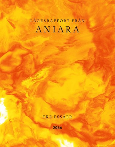 bokomslag Lägesrapport från Aniara : tre essäer