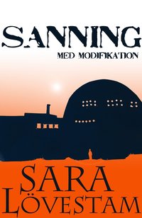 bokomslag Sanning med modifikation