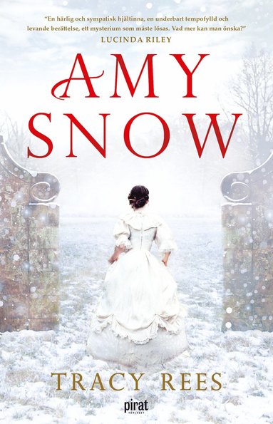 bokomslag Amy Snow