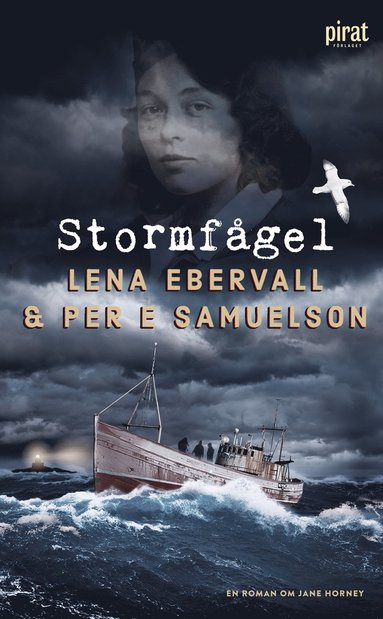 bokomslag Stormfågel