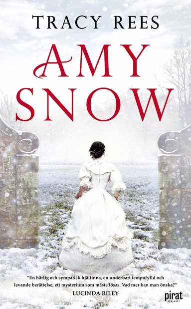 bokomslag Amy Snow