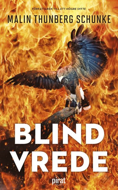 bokomslag Blind vrede