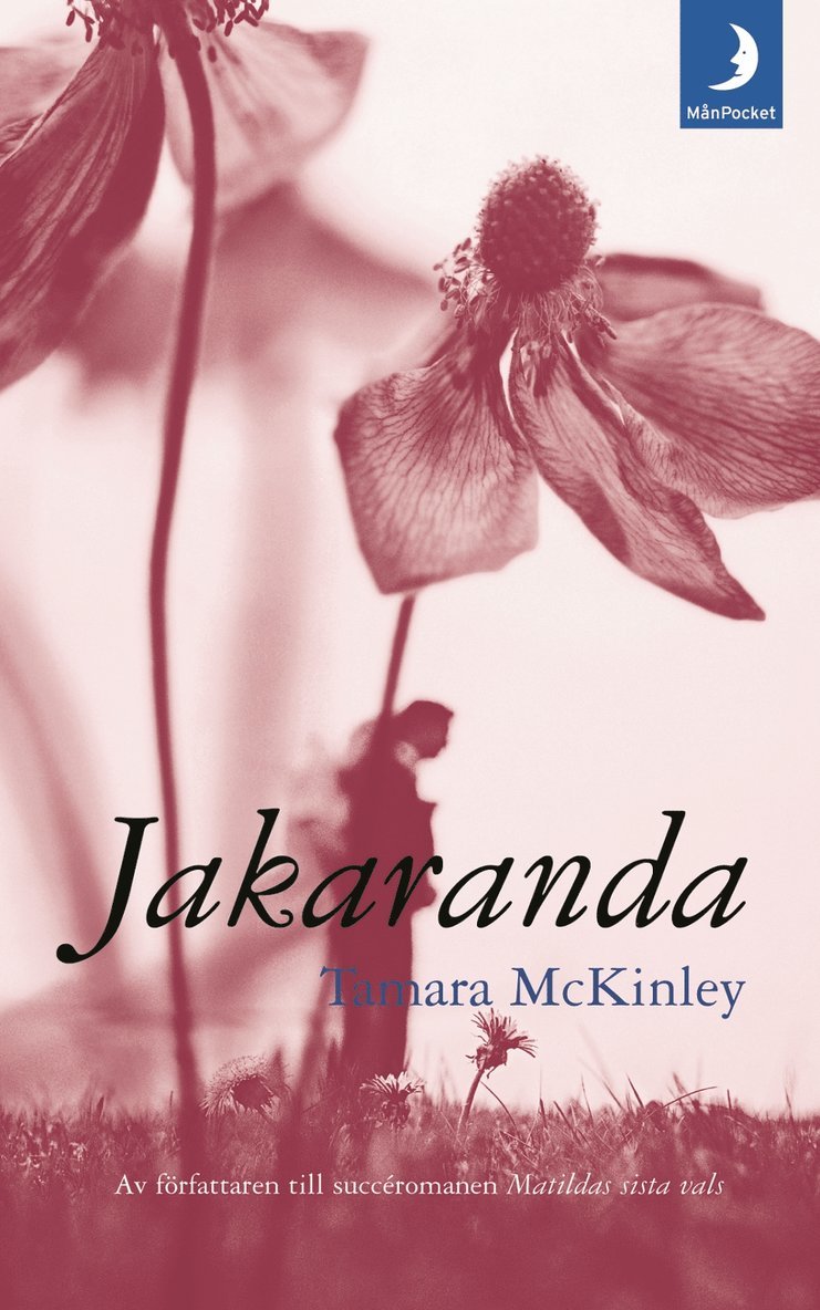 Jakaranda