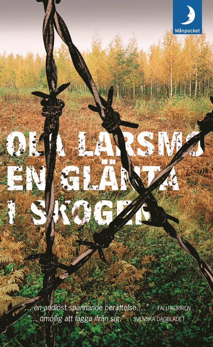 En glänta i skogen