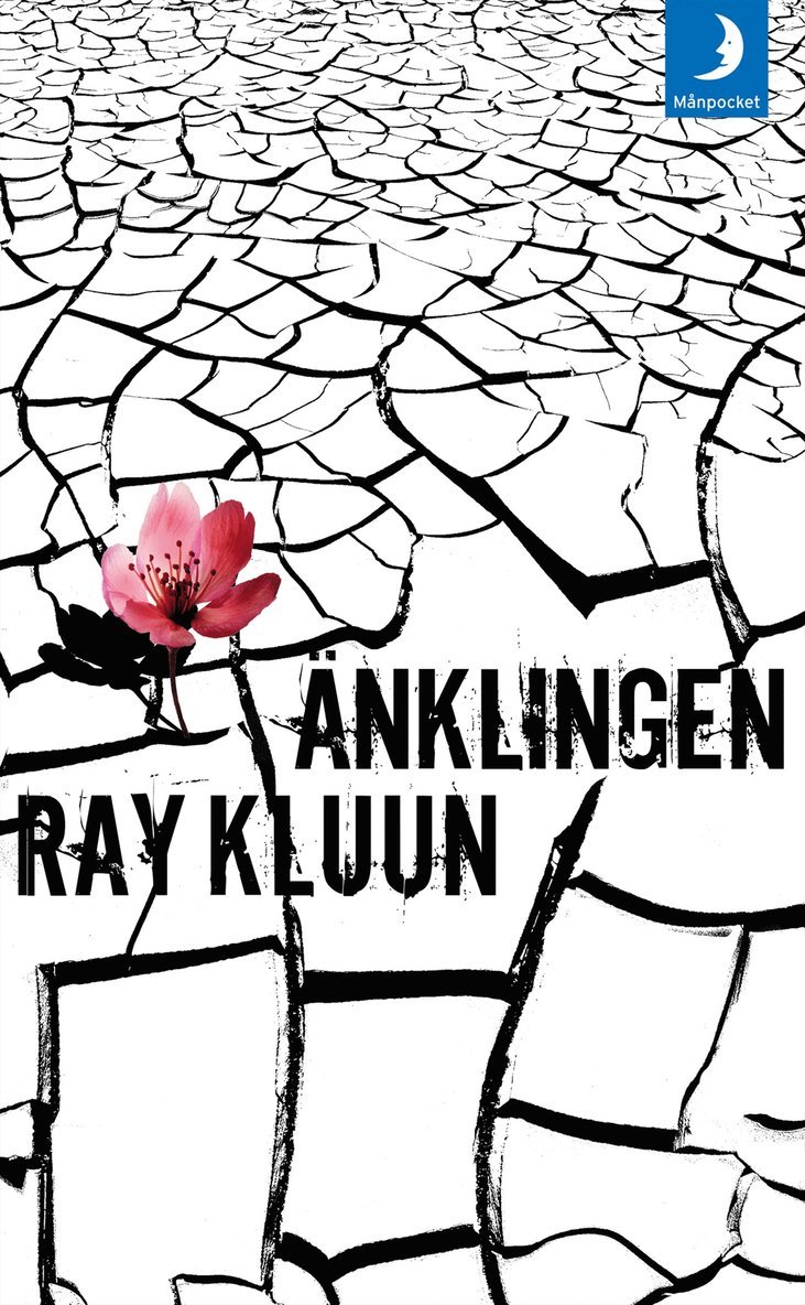 Ray Kluun - Änklingen, Pocket