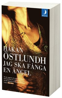 bokomslag Jag ska fånga en ängel