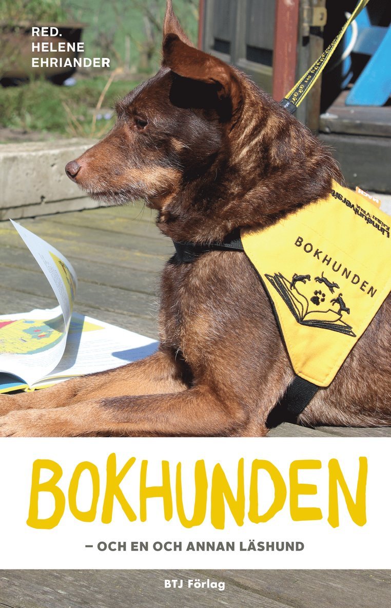 Bokhunden : och en och annan läshund 1