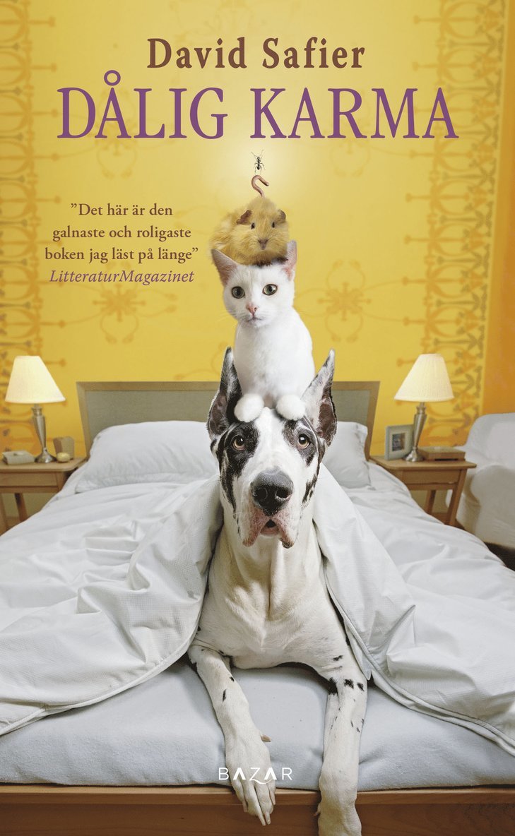 David Safier - Dålig karma, Pocket