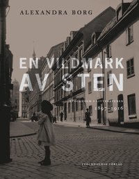 bokomslag En vildmark av sten : Stockholm i litteraturen 1897-1916