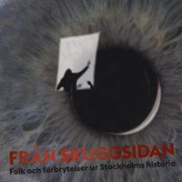 bokomslag Från skuggsidan : folk och förbrytelser ur Stockholms historia