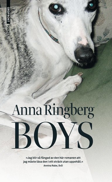 Anna Ringberg - Boys, Pocket