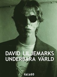 bokomslag David Liljemarks underbara värld : verk i urval 1978-2018