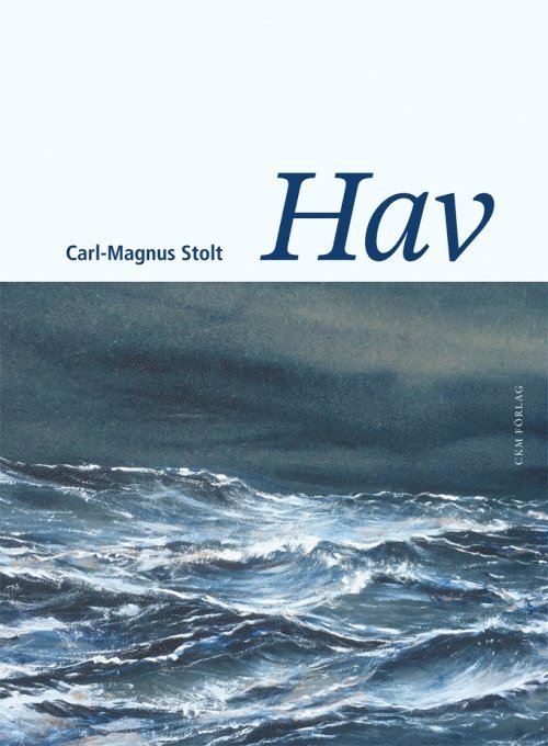 Hav - filosofiska strandhugg 1