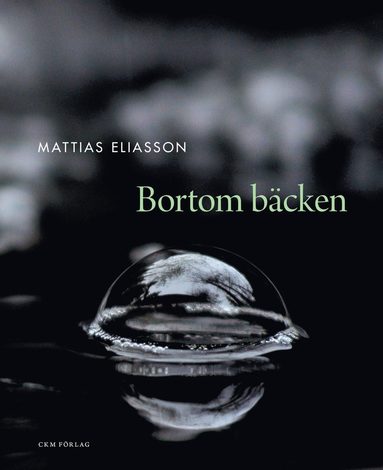 bokomslag Bortom bäcken