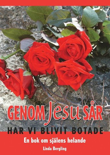 Linda Bergling - Genom Jesu sår har vi blivit botade, Häftad