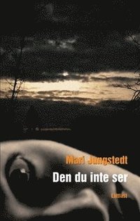 bokomslag Den du inte ser (lättläst)