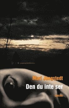 bokomslag Den du inte ser (lättläst)